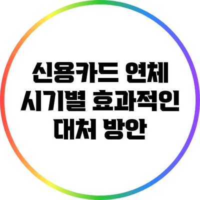 신용카드 연체 시기별 효과적인 대처 방안