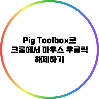 Pig Toolbox로 크롬에서 마우스 우클릭 해제하기