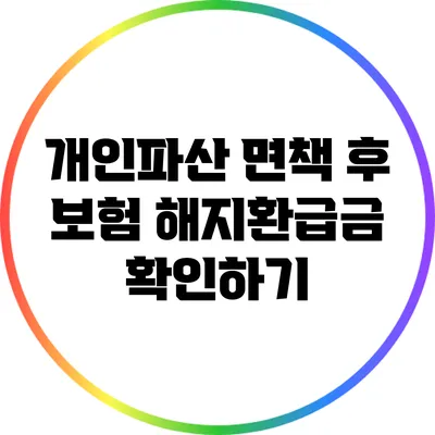 개인파산 면책 후 보험 해지환급금 확인하기