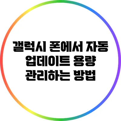 갤럭시 폰에서 자동 업데이트 용량 관리하는 방법