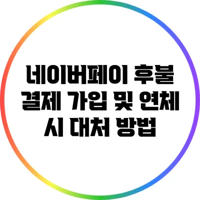 네이버페이 후불 결제 가입 및 연체 시 대처 방법