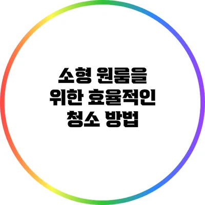 소형 원룸을 위한 효율적인 청소 방법