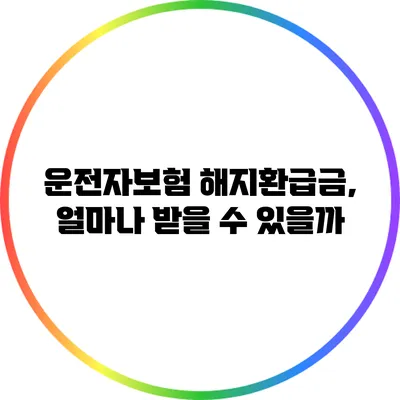 운전자보험 해지환급금, 얼마나 받을 수 있을까?