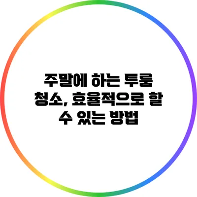 주말에 하는 투룸 청소, 효율적으로 할 수 있는 방법