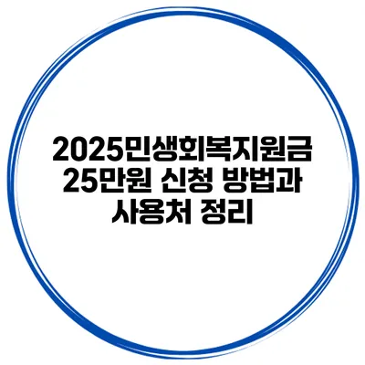 2025민생회복지원금 25만원 신청 방법과 사용처 정리
