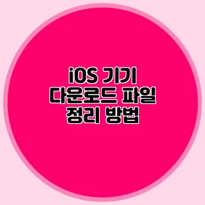 iOS 기기 다운로드 파일 정리 방법