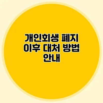 개인회생 폐지 이후 대처 방법 안내