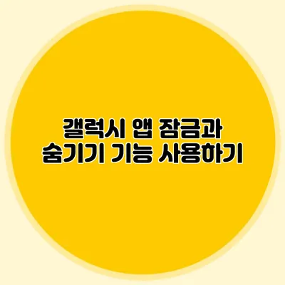 갤럭시 앱 잠금과 숨기기 기능 사용하기
