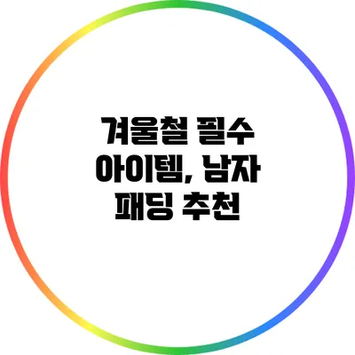 겨울철 필수 아이템, 남자 패딩 추천