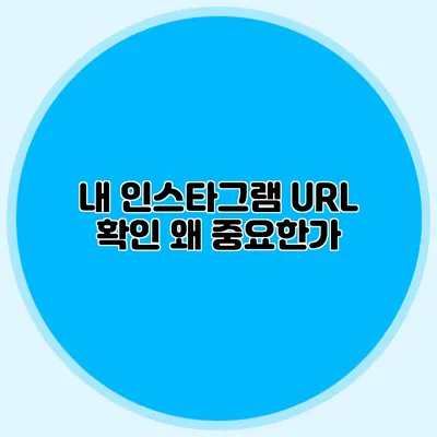 내 인스타그램 URL 확인: 왜 중요한가?