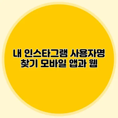 내 인스타그램 사용자명 찾기: 모바일 앱과 웹