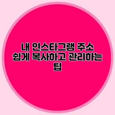 내 인스타그램 주소 쉽게 복사하고 관리하는 팁