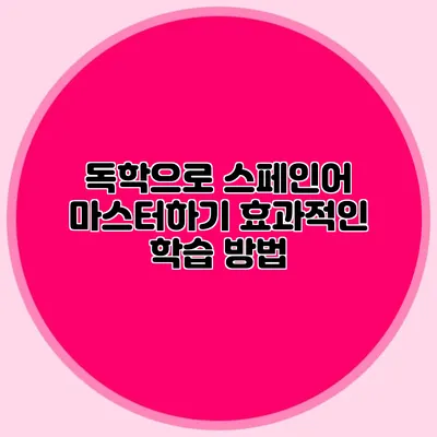 독학으로 스페인어 마스터하기: 효과적인 학습 방법