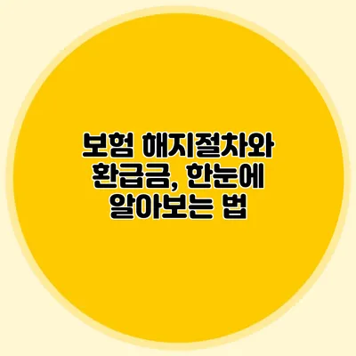 보험 해지절차와 환급금, 한눈에 알아보는 법