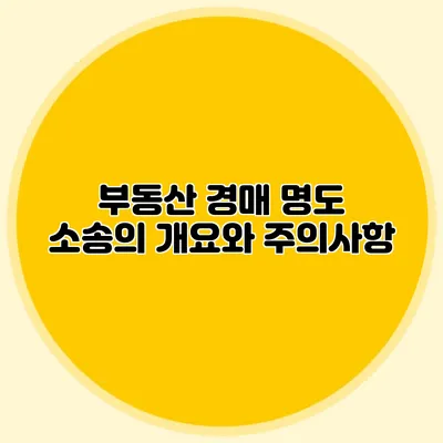 부동산 경매 명도 소송의 개요와 주의사항