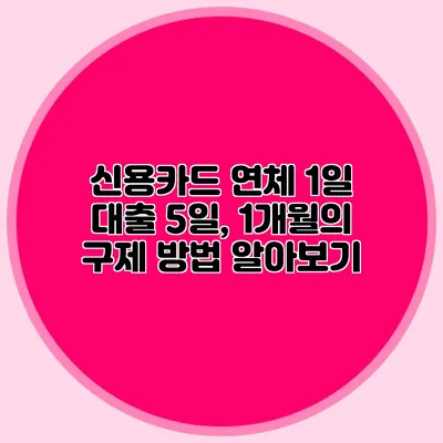 신용카드 연체 1일 대출: 5일, 1개월의 구제 방법 알아보기