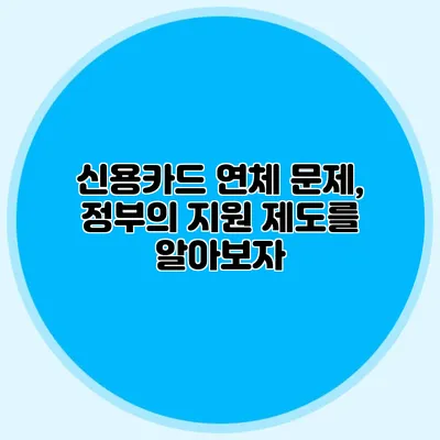 신용카드 연체 문제, 정부의 지원 제도를 알아보자
