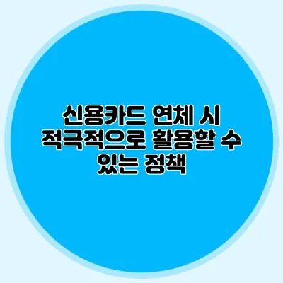 신용카드 연체 시 적극적으로 활용할 수 있는 정책