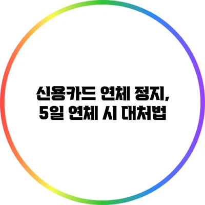 신용카드 연체 정지, 5일 연체 시 대처법