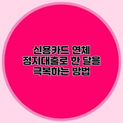 신용카드 연체 정지대출로 한 달을 극복하는 방법