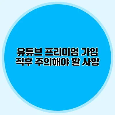 유튜브 프리미엄 가입 직후 주의해야 할 사항