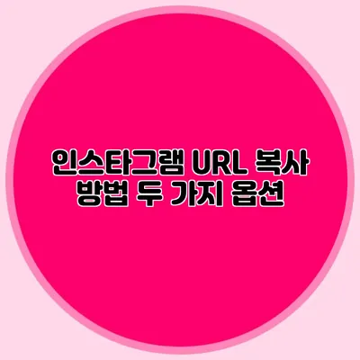 인스타그램 URL 복사 방법: 두 가지 옵션