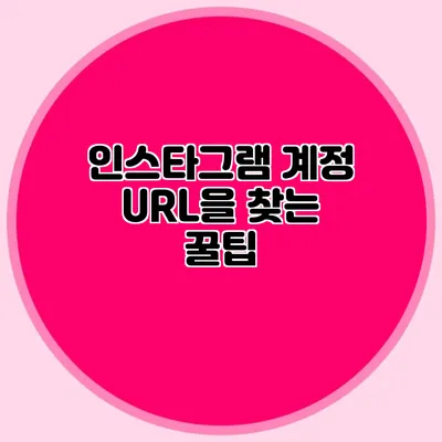 인스타그램 계정 URL을 찾는 꿀팁
