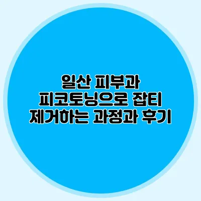 일산 피부과 피코토닝으로 잡티 제거하는 과정과 후기