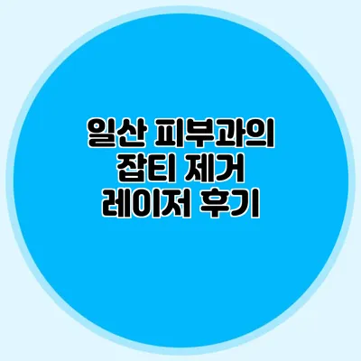 일산 피부과의 잡티 제거 레이저 후기