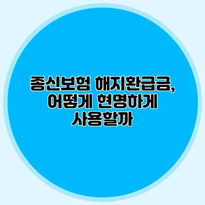 종신보험 해지환급금, 어떻게 현명하게 사용할까?