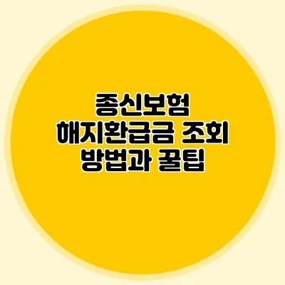종신보험 해지환급금 조회 방법과 꿀팁