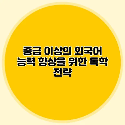 중급 이상의 외국어 능력 향상을 위한 독학 전략