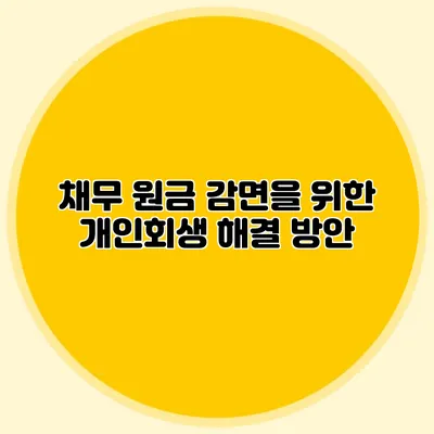 채무 원금 감면을 위한 개인회생 해결 방안