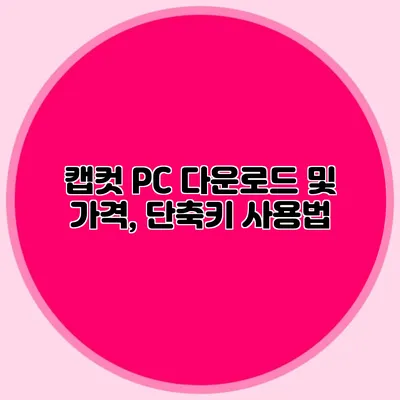 캡컷 PC 다운로드 및 가격, 단축키 사용법