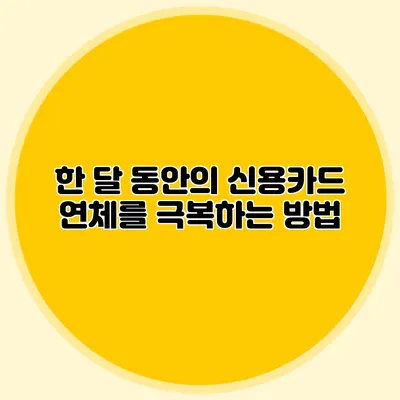 한 달 동안의 신용카드 연체를 극복하는 방법