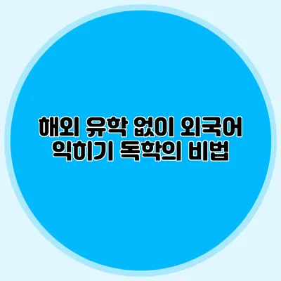해외 유학 없이 외국어 익히기: 독학의 비법
