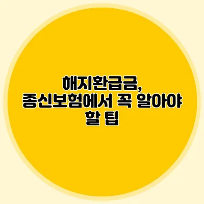 해지환급금, 종신보험에서 꼭 알아야 할 팁