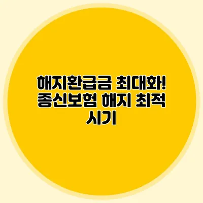 해지환급금 최대화! 종신보험 해지 최적 시기