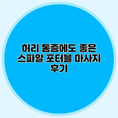 허리 통증에도 좋은 스파알 포터블 마사지 후기