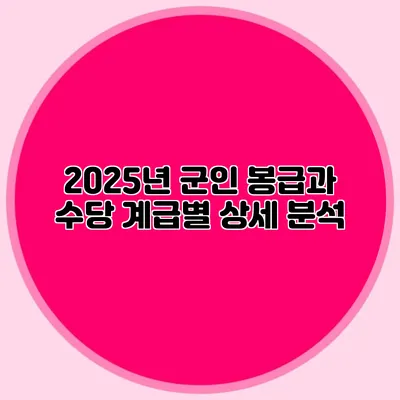 2025년 군인 봉급과 수당 계급별 상세 분석