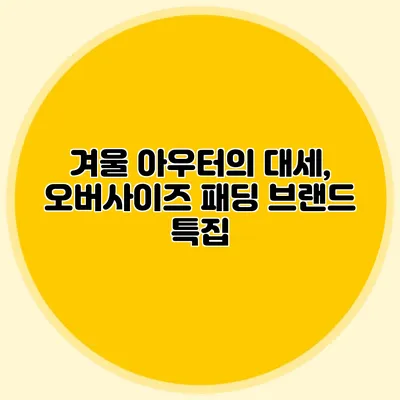 겨울 아우터의 대세, 오버사이즈 패딩 브랜드 특집