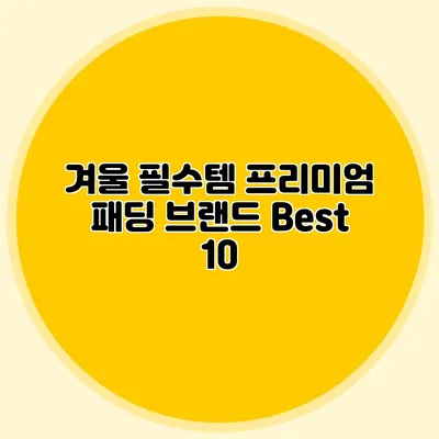 겨울 필수템 프리미엄 패딩 브랜드 Best 10
