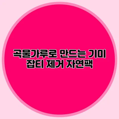 곡물가루로 만드는 기미 잡티 제거 자연팩
