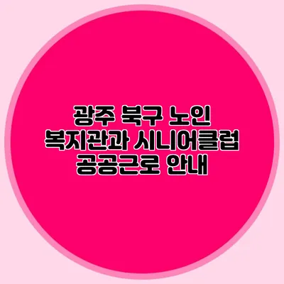 광주 북구 노인 복지관과 시니어클럽 공공근로 안내