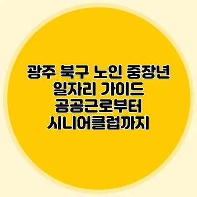 광주 북구 노인 중장년 일자리 가이드 공공근로부터 시니어클럽까지