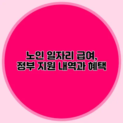 노인 일자리 급여, 정부 지원 내역과 혜택