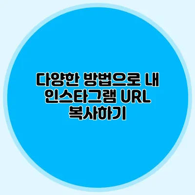다양한 방법으로 내 인스타그램 URL 복사하기