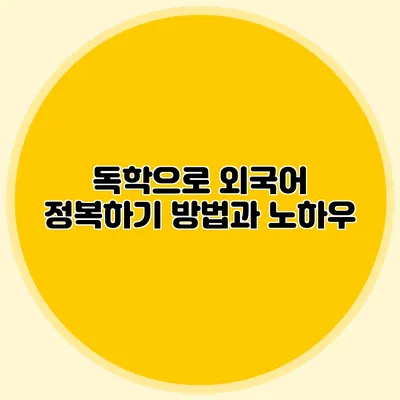 독학으로 외국어 정복하기 방법과 노하우