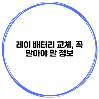 레이 배터리 교체, 꼭 알아야 할 정보