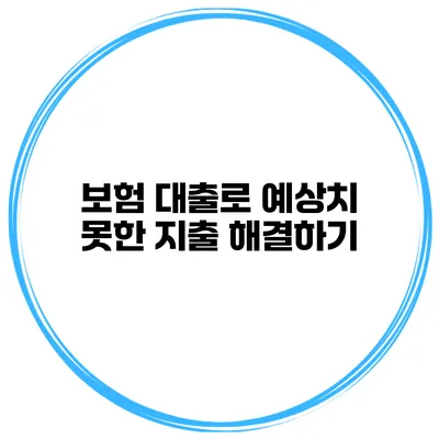 보험 대출로 예상치 못한 지출 해결하기